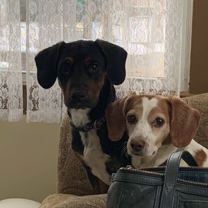 Meet your Posher, Chelsea